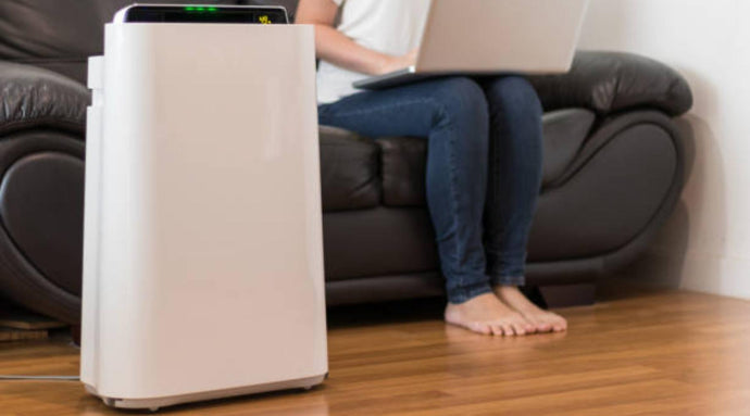 What to Look Out for When Buying an Air Purifier