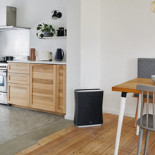 Load image into Gallery viewer, Stadler Form ROGER LITTLE Air Purifier (rooms up to 33 m2)
