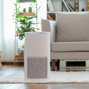 Fresh Air Purifiers Ionic technology HEPA filters Virus Free