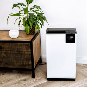 Stadler Form ALBERT Air Dehumidifier