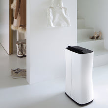 Load image into Gallery viewer, Stadler Form THEO Air Dehumidifier