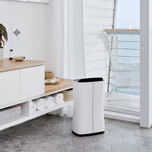 Load image into Gallery viewer, Stadler Form THEO Air Dehumidifier